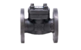 VAN 1 CHIỀU THÉP RÈN MẶT BÍCH